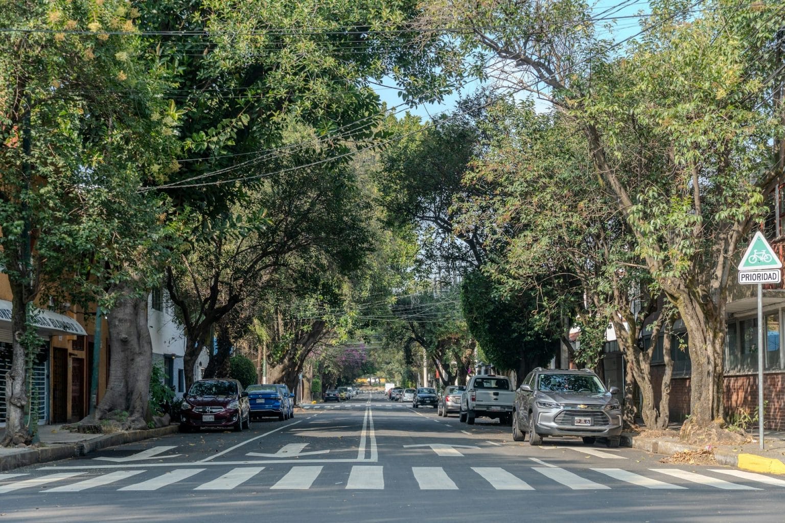 Tree-lined neighborhood street in Mexico City, the kind of walkable area travelers look for during World Cup 2026.